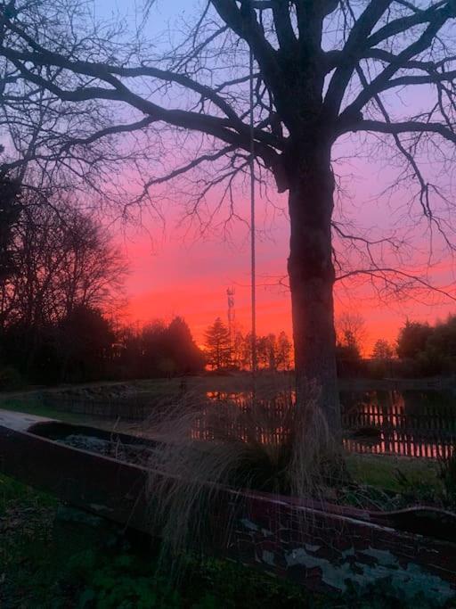 L'Eden De Joleo : Votre Cocon D'Amour Perthes  Exteriör bild